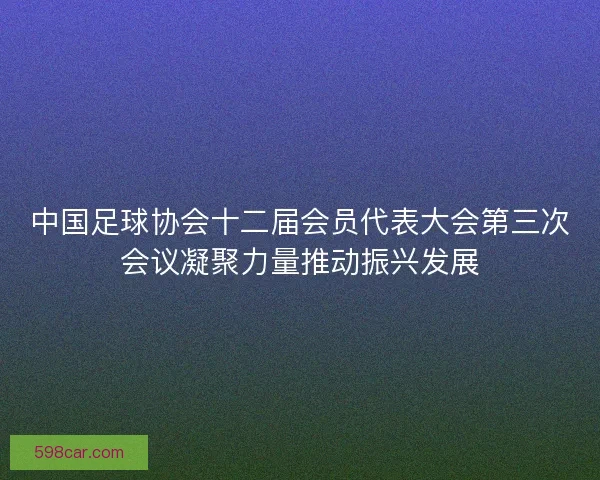 中国足球协会十二届会员代表大会第三次会议凝聚力量推动振兴发展